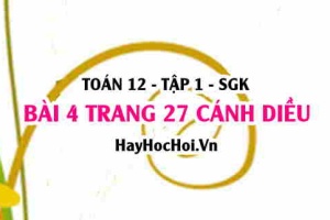 Bài 4 trang 27 Toán 12 tập 1 Cánh Diều